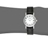 Citizen Women's "Eco-Drive" Stainless Steel and Black Leather Watch