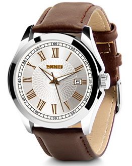 Aposon Men's Classic Quartz Wrist Watch,Roman Numeral Business Watch Casual
