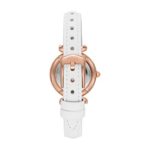 Fossil Women's Carlie Mini Stainless Steel Quartz Watch