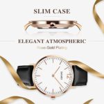 Aposon Men’s Quartz Watch – Classic Business Casual Leather Dress Watch, 30M Waterproof