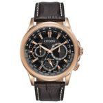 Citizen Men's Eco-Drive Stainless Steel Watch with Day/Date