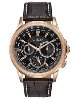 Citizen Men's Eco-Drive Stainless Steel Watch with Day/Date