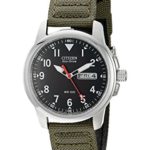 Citizen Men's Eco-Drive Stainless Steel Watch with Day/Date display