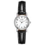 Citizen Women's "Eco-Drive" Stainless Steel and Black Leather Watch