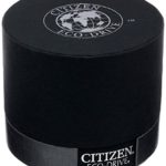 Eco-Chic Timekeeping: Citizen Women's Eco-Drive Stainless Steel Watch