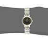 Eco-Chic Timekeeping: Citizen Women's Eco-Drive Stainless Steel Watch