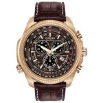 Citizen Men's Eco-Drive Chronograph Watch with Perpetual Calendar