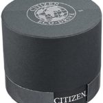 Citizen Women's "Eco-Drive" Stainless Steel and Black Leather Watch