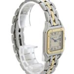 Cartier Panthere Timeless Elegance in Stainless Steel and 18K Gold ⌚✨