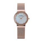 Skagen Women's Ancher Quartz Stainless Steel Dress Watch