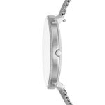 Skagen Women's 'Karolina' Quartz Stainless Steel Casual Watch