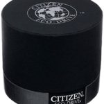 Citizen Men's Eco-Drive Expansion Band Watch – Light-Powered with Day/Date Function and Gold-Tone Accents