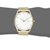 Skagen Women's SKW2377 Holst Gold Mesh Watch
