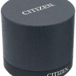 Citizen Men's Eco-Drive Stainless Steel Quartz Leather Calfskin Strap