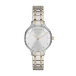 Skagen Women's Anita Quartz Two-Tone Stainless Steel Casual Watch