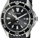 Citizen Men's Eco-Drive Stainless Steel Japanese-Quartz Diving Watch