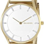 Skagen Women's SKW2377 Holst Gold Mesh Watch