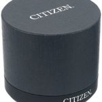 Citizen Men's 'PAIRS' Quartz Stainless Steel Casual Watch