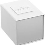 Skagen Women's SKW2316 Ditte White Link Watch