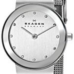 Skagen Women's freja Quartz Stainless Steel and mesh Watch
