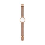 Skagen Women's Signatur Japanese-Quartz Watch