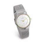 Skagen Women's Two-Tone Mesh Bracelet Watch