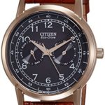 Citizen Analog Black Dial Unisex Watch