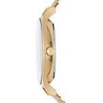 Skagen Women's Anita Quartz Stainless Steel Mesh Casual Watch