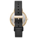 Watch Skagen Women's Anita Watch Quartz Mineral Crystal