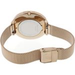 Skagen Women's Karolina Japanese-Quartz Watch with Stainless-Steel Strap