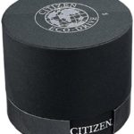 Citizen Eco-Drive Perpetual Calendar Watch – Men's 42mm, Sapphire Crystal, Japanese Quartz, Water Resistant