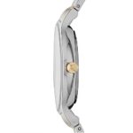 Skagen Women's Anita Quartz Two-Tone Stainless Steel Casual Watch
