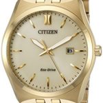 Citizen Men's Eco-Drive Stainless Steel Watch