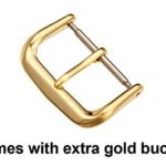 Genuine Alligator Watch Band (Silver & Gold Buckle)