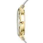 Skagen Women's Leonora Stainless Steel Mesh Watch