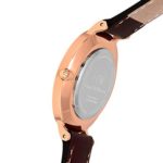 Daniel Wellington Classic Petite Bristol in Black 32mm