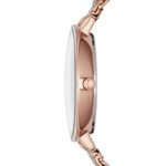 Skagen Women's Rungsted Quartz Stainless Steel Mesh Dress Watch