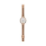 Skagen Women's Rungsted Quartz Stainless Steel Mesh Dress Watch