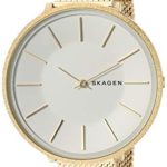 Skagen Women's Karolina Analog-Quartz Stainless-Steel-Plated Strap