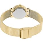 Skagen Women's Ancher Quartz Stainless Steel Mesh Casual Watch