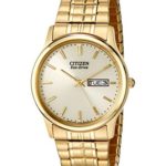 Citizen Men's Eco-Drive Expansion Band Watch with Day/Date
