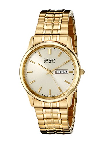Citizen Men's Eco-Drive Expansion Band Watch with Day/Date
