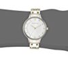 Skagen Women's Anita Quartz Two-Tone Stainless Steel Casual Watch
