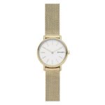 Skagen Women's Signatur Japanese-Quartz Watch with Stainless-Steel Strap