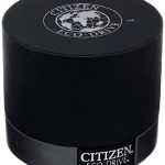 Citizen Eco-Drive Men's Axiom Gold Watch