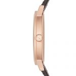 Emporio Armani Men's Kappa Leather Calfskin Strap, Brown