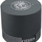 Citizen Eco-Drive Men's Endeavor Gold Watch