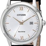 Citizen Men's Eco-Drive Stainless Steel Watch with Date, AW1236-03A