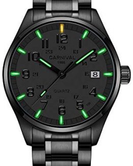 PASOY Men's Self-Luminous Watches Green/Blue Light Up to 25 Years Sapphire Glass Waterproof Sapphire Glass Silver Stainless Steel Quartz Wrist Watches (Full Black with Green Light)