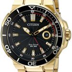 Citizen Eco-Drive Men's AW1422-50E Endeavor Gold Watch